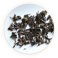 安茶（祁门安茶）叶底