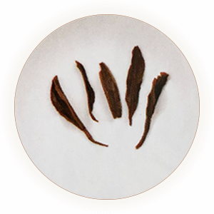 白琳工夫茶（福鼎工夫红茶）叶底