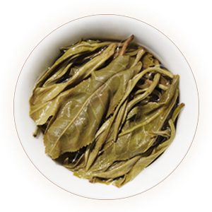 冰岛普洱茶叶底