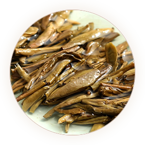 重庆沱茶叶底