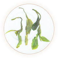 凤冈富锌富硒茶（珠形茶）叶底
