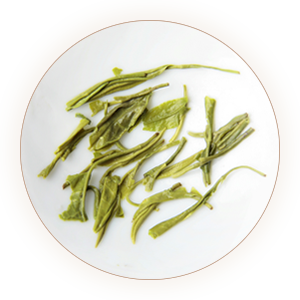 狗牯脑（石山茶、玉山茶）叶底