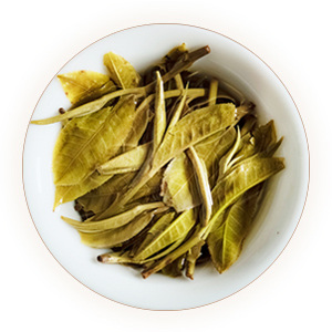 刮风寨普洱茶叶底