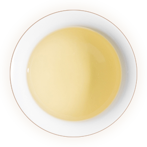海马宫茶汤色