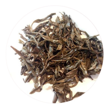 黑毛茶叶底