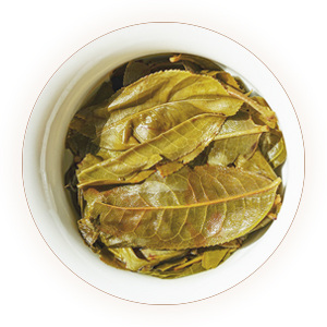 黄金叶（黄片普洱茶）叶底