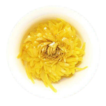 金丝皇菊叶底