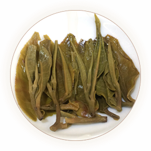 老班章叶底