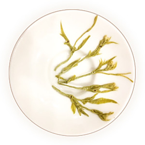 莓茶（龙须茶、张家界莓茶、茅岩莓茶）叶底