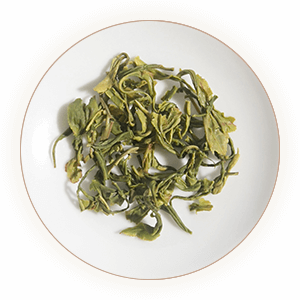 普陀佛茶（普陀山云雾茶、凤尾茶）叶底