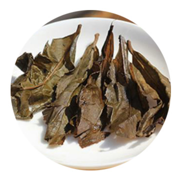 千两茶（花卷茶）叶底