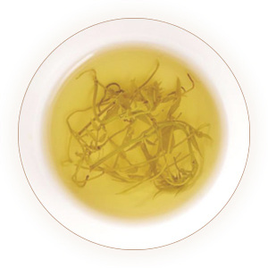 藤茶（来凤藤茶）叶底