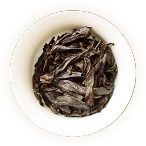 铁罗汉武夷岩茶叶底