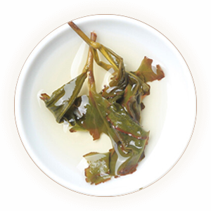漳平水仙（纸包茶）叶底