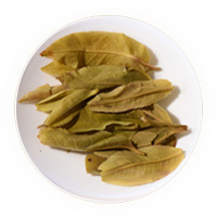 竹筒茶（那卡竹筒茶）叶底